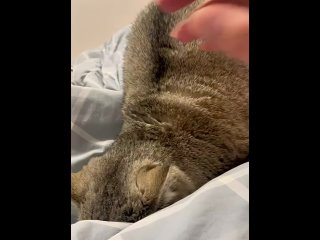 vk girls | anonymous dating chat