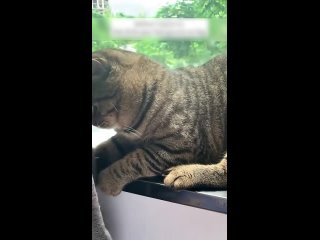 vk girls | anonymous dating chat