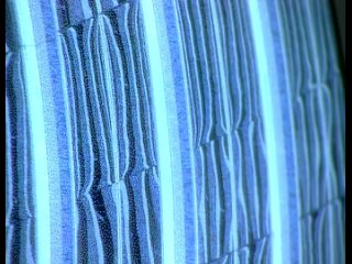 jenna jameson - virtual reality 69 (2) big tits mature