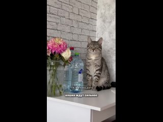 beauties of social networks - dating